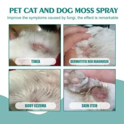 Spray de musgo para animais de estimação, problemas de pele de gato e cachorro, 30ml, cuidados de limpeza para animais de estimação, spray anti-coceira, alívio instantâneo, suprimentos de cuidados saudáveis para animais de estimação - Image 4
