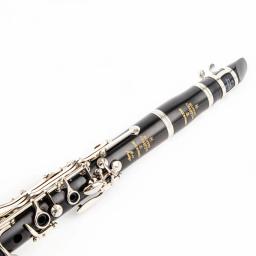 Novo buffet r13 b-flat tune profissional de alta qualidade instrumentos de sopro clarinete tubo preto com acessórios caso - Image 4