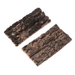 E56c plana cortiça casca terrários água para decorações de tanque para orquídeas airplant repti - Image 1