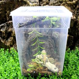 Caixa de alimentação transparente réptil, lagarto, tarântula, terrário de criação, gaiola para incubação, pet house para tartaruga pequena cobra - Image 1