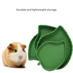 Alimentador de répteis para pequenos animais de estimação, comida e água tigela, tartaruga lagartos, hamsters, cobras, tartaruga, lagartixa, suprimentos para animais - Image 4