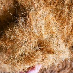 200g natural casca de coco fibra flowerpot capa artesanato à prova de insetos proteger flor planta solo manter quente réptil cama ninho de pássaro - Image 4