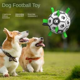 Pet brinquedos interativos de treinamento, Impermeável e resistente a mordida, Treinamento ao ar livre de dentição, Brinquedos interativos para cães - Image 2