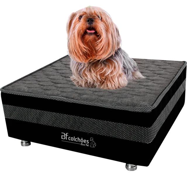 Cama Box Pet Impermeável Branco com Lençol para Cachorros e Gatos 60x60x24cm - Conforto e Estilo para Seu Bicho de Estimação