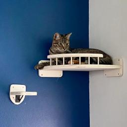Wall Mounted Wooden Cat Hammock, Prateleira de escalada, Cat Jumping Platform com Scratching Post, Cama Pendurada para Dormir, 1Pc - Image 4