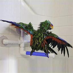 Ventosa para animais de estimação, pássaros, papagaios, banho, chuveiro, plataforma de pé, bastão duplo, suporte de moagem, estação, poleiros interessantes - Image 3