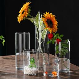 Vaso De Vidro Transparente De Tubo Reto Ecológico, vaso De Flores De Borosilicato Alto Criativo Paisagem, Decoração De Casa - Image 1