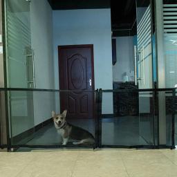 Porta de segurança transparente portátil para Pet, Barreira dobrável, Safe Mesh Gate, Cerca respirável para cão e gato, Cerca leve para interior e exterior - Image 2