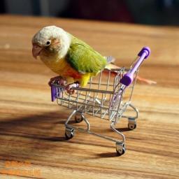Mini carrinho de compras para pássaros, cor aleatória, papagaio, liga engraçada, gaiola de treinamento de pássaros, acessórios, 1 pc - Image 1