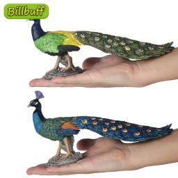 Figuras de animais selvagens para crianças, realista, animal, sólido, pavão, abs, figuras de ação, coleção, brinquedos educativos, presente para crianças, 25cm - Image 1