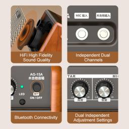 Amplificador portátil recarregável da guitarra acústica, orador de Bluetooth, ajuste do Reverb do canal duplo - Image 3