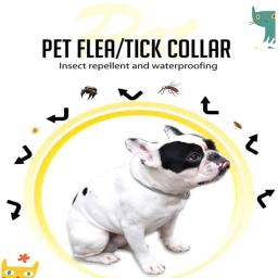 38m Ajustável Pet Collar Cat Dog AntiFlea Collar Anti Flea Tick Mite Louse Collar Pet Protect Repel Colar de borracha Pet Supply - Image 3