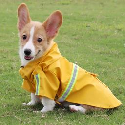 Impermeável Capuz Impermeável para Cachorro Grande, Capa Corgi, Roupa Windproof, Estilo Reflexivo Puppy - Image 6