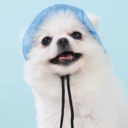 Boné de beisebol com protetor solar para animais de estimação, proteção solar, macio e confortável, cão pequeno, caminhada ao ar livre, cachorro - Image 4