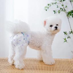 10 pces cão de estimação fraldas masculino fêmeas absorvente ajustável doggy roupa interior descartável calças respiráveis fisiológicas para cães - Image 2