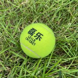 Alta Elastic Rubber Cricket Tennis Ball, Inner Villi, Indoor e Outdoor, 7 cm de diâmetro, 6 Pcs - Image 3