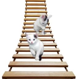 Brinquedos Atividade de parede Cat Wood Sisal Scratcher Climber Mobiliário Cat Bridge Corda Passos Gatinho Escada Gatinho Post Wall - Image 5