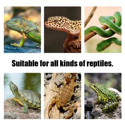 Tapete de calor do lagarto dos répteis do terrário que escalam o aquecimento do animal de estimação almofadas quentes inteligentes ajustáveis do controlador de temperatura esteiras 110v/220v - Image 3