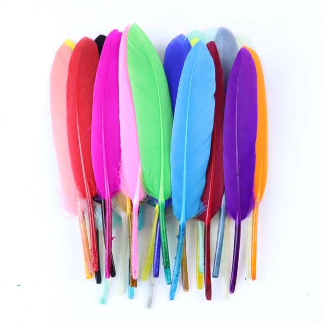 Quilhas de Ganso Naturais 10-15cm para Artesanato e Decoração