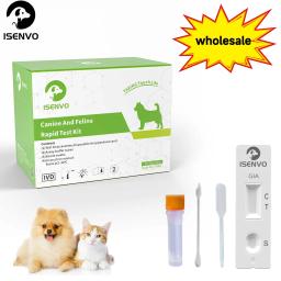 GIARDIA-Kit de teste rápido para cães e gatos, felino canino, teste caseiro, 1, 2, 5, 10 pcs - Image 1