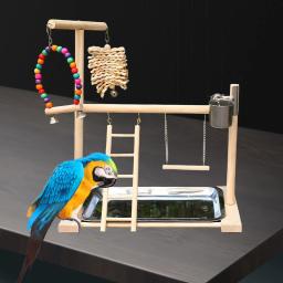 Madeira maciça Pet Parrot Playstand, Parque Infantil Pássaro, Bird Gym Escada, Stand Bite Toy, Escada para Budgie - Image 5