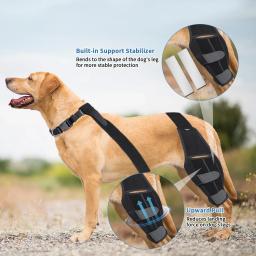 Almofadas de Proteção Ajustável para Animais De Estimação, Leg Brace, Joelho Wrap, Suportes para Cães, Correias de Apoio, Acessórios para Cães - Image 4