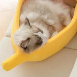 Gato cama banana casa caverna bonito aconchegante dormir cama para gatos pequenos animais durável filhote de cachorro canil gatinho cesta acessórios do gato - Image 3