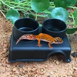 Pequenos répteis brinquedos para animais de estimação, lagartixa, abrigo cobra, casa, comida, água tigela, caverna, escalada caixa, pequeno animal, suprimentos Hideaway - Image 3