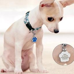Nome personalizado para animais de estimação, identificação gravada livre, pingente anti-perdido, nome pata, placa de identificação, placa de identificação, chaveiro acessórios, cachorro, cão, gato - Image 6