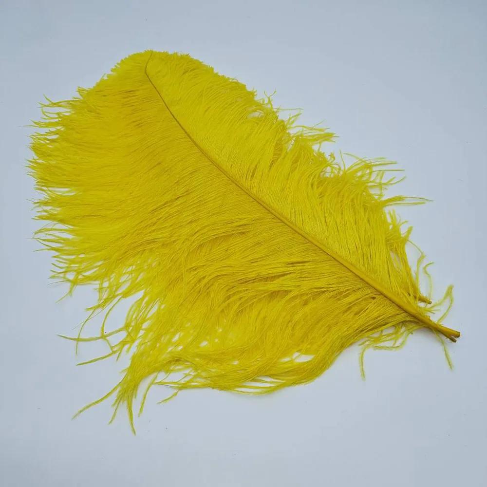 Natural Avestruz Penas para Artesanato, Decoração Do Casamento, Acessórios De Artesanato, Mesa Centerpieces, Plumas De Carnaval, Natal, 10Pcs por Lote - Image 1