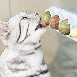 Catnip Ball for Cat, Bolas de moagem de dentes saudáveis Snacks Brinquedos Limpeza de dentes Dental Chew Lick Cat Toy, Suprimentos de hortelã - Image 4