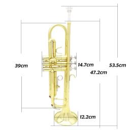 Bb Trumpet Brass Instrument, Trompete Padrão Conjunto com Caixa para Iniciantes, Instrumentos Musicais de Qualidade Profissional - Image 3