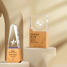 Troféu de cristal de madeira livre personalizado gravura a cores impressão cristal prêmio copo filme esportes prêmio personagem evento modelo lembrança - Image 4