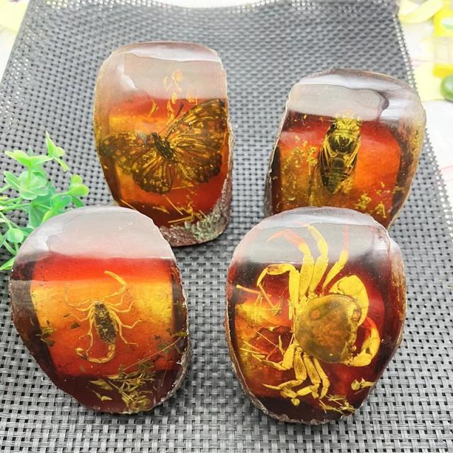 Cera de Abelha e Insetos Preservados: Artesanato com Borboletas, Escorpiões em Âmbar e Cicadas Douradas para Decoração de Sala