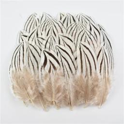 Pena de faisão de pavão natural pequena ganso frango penas plumas diy artesanato festa acessórios de casamento jóias decorativas - Image 5