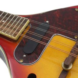 Guitarra elétrica de bandolim com afinador de saco e picaretas, jacarandá, instrumento musical para iniciantes e adultos, 8 cordas, estilo - Image 5