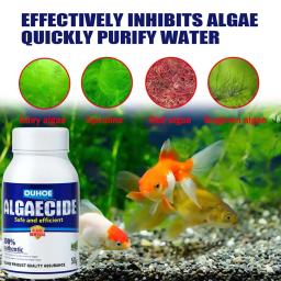 Algicida Aquário De Água Algas, removedor De Musgo Do Tanque De Peixes, suprimentos De Limpeza Aquática - Image 1
