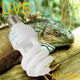 Energy Saving UV Bulb para Reptile, Cálcio Suplemento Lâmpada para Anfíbios Tartarugas Marinhas, UVB5.0, E27, 13W, 26W, 10.0 - Image 1