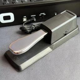 Universal Piano Sustain Pedal, Amortecedor de Teclado Midi, Sintetizador Digital, Entrada Plug com Interruptor Polaridade, 1/4 '', 6,35mm - Image 1