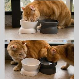 O animal de estimação não-deslizamento elevado taças para o alimento dos gatos tigela de água tigela alimentador de animais de estimação cães - Image 2