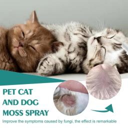 Spray de musgo para animais de estimação, problemas de pele de gato e cachorro, 30ml, cuidados de limpeza para animais de estimação, spray anti-coceira, alívio instantâneo, suprimentos de cuidados saudáveis para animais de estimação - Image 3