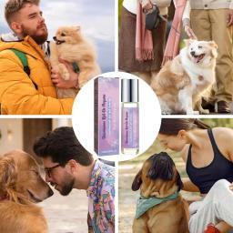 Perfume De Cão Natural Com Grânulos De Rolamento Design, Calmante Detangler, Névoa Do Corpo, Condicionador De Pele, Dog Fragrância Spray - Image 5