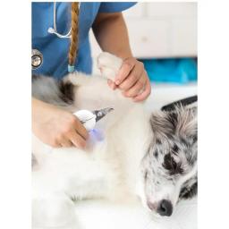 PSM-Cortadores de Unhas com Luz, Cortadores de Unhas para Cães e Gatos, Afiadores 2 em 1, Produtos Especiais para Animais - Image 4