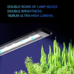 Pequeno LED Iluminação Do Aquário, Lâmpada Do Tanque De Peixes, À Prova D' Água, Iluminamento Plantas Aquáticas Ornamentais, Luz LED, Acessórios De Aquário - Image 5