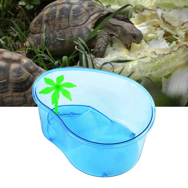 Terrário Acrílico Extra Grande para Répteis e Pequenos Animais, Ideal para Lagartos e Tartarugas