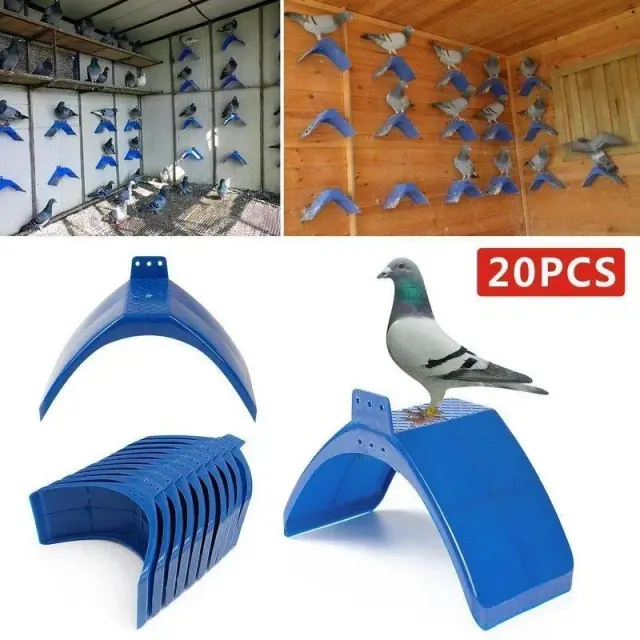 Poleiros Azul para Aves - Quadro de Descanso para Pássaros com 20 Peças