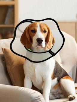 Coleira leve ajustável para animais de estimação, coleira em forma de recuperação suave para cachorros, cães pequenos e gatos - Image 2