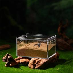 Terrário acrílico rastejando pet caixa de viagem reptisoil transportadora sapo escalada recipiente de alimentação caso transparente para réptil - Image 4