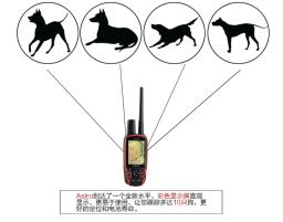 Jiaming-Dog GPS Caça Rastreador, Cão Localizador, Localizador, T5, T5Mini Collar, 430, 50, 320 - Image 3
