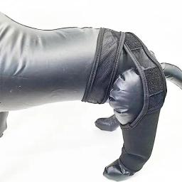 Pet Dog Joelho Dor Joelho Brace, suporte de quadril, suporte para pernas traseiras para cães idosos, deficientes e feridos - Image 6